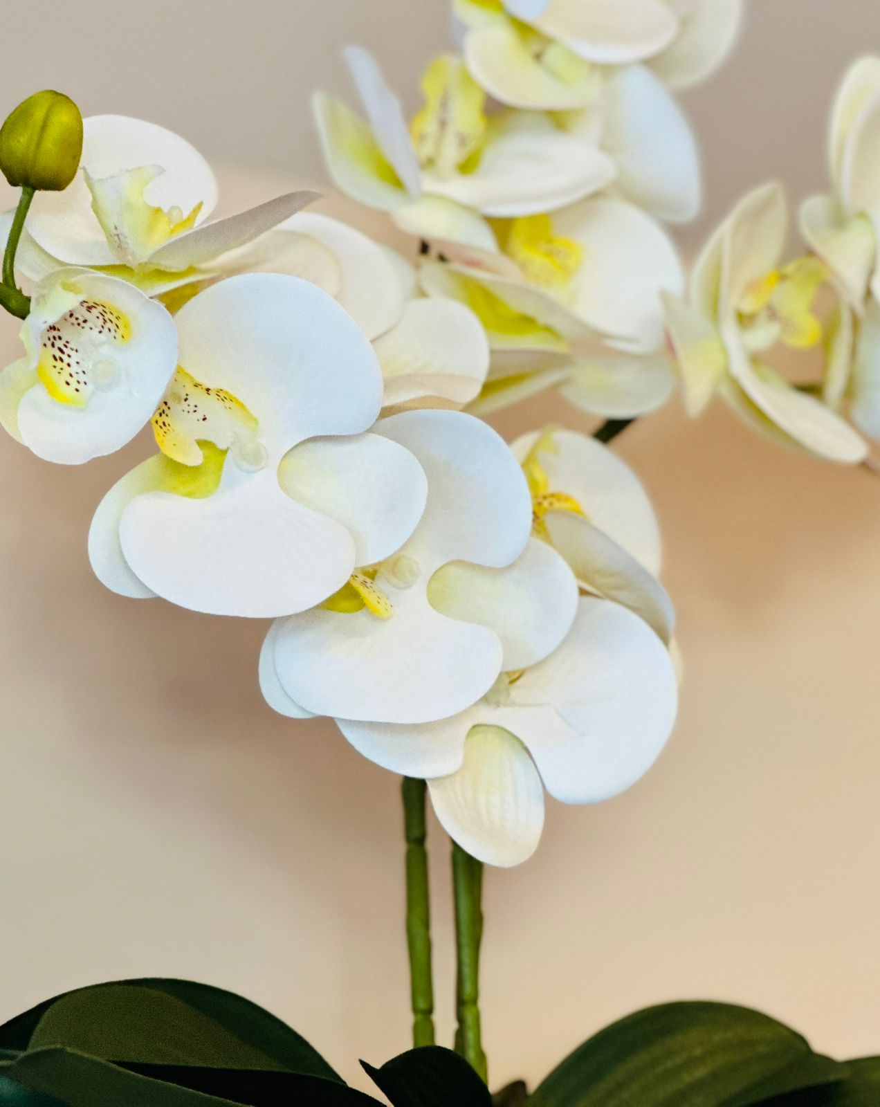 ARRANJO C/ ORQUIDEAS BRANCAS