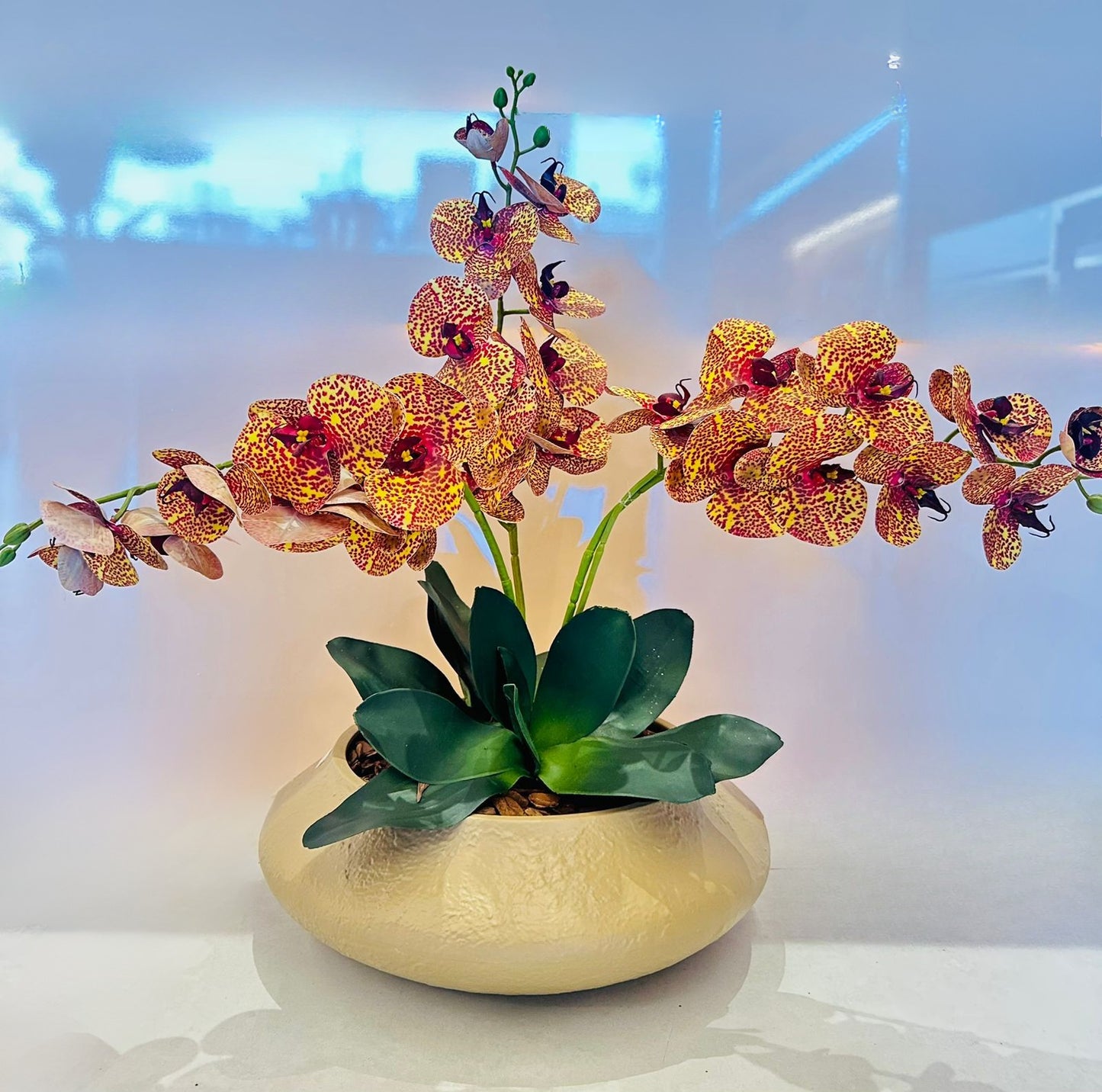 ARRANJO TULIPAS ORQUIDEA