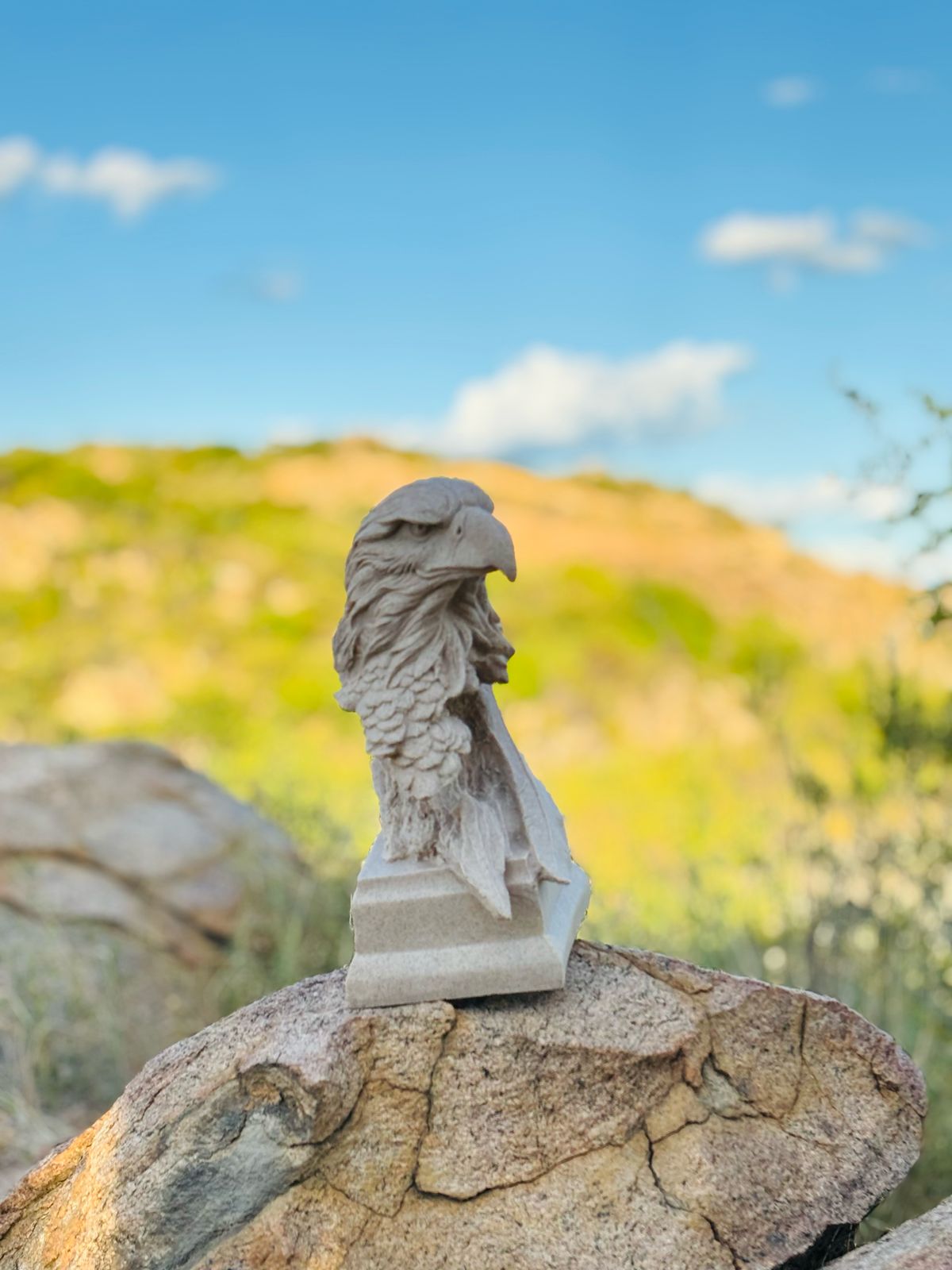 AGUIA ESCULTURA RESINA