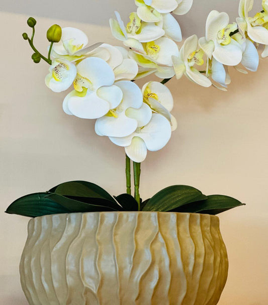 ARRANJO C/ ORQUIDEAS BRANCAS